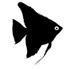 Image showing Black silhouette of aquarium fish on white background