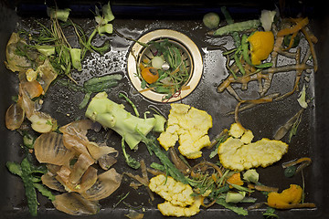 Image showing fresh vegetable scarp in the sink