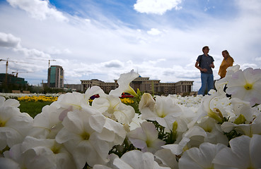 Image showing Flowers and sky