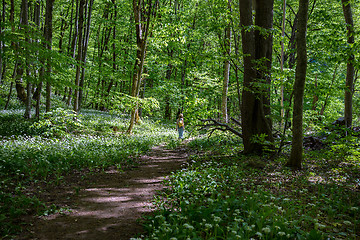 Image showing The girl in the forest