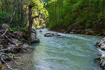 Image showing Mountain river