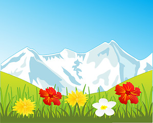 Image showing Snow mountains and glade with flower