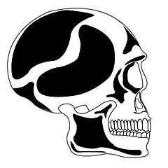 Image showing Skull of the person