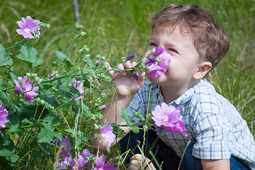 Image showing portrait of a little boy with wildflowers