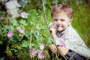 Image showing portrait of a little boy with wildflowers