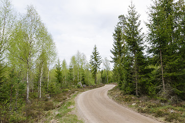 Image showing Winding gravel road through a forest