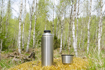 Image showing Thermos with cup in a bright forest