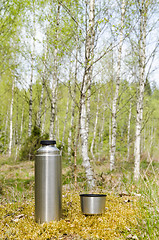 Image showing Thermos with beverages in a bright forest