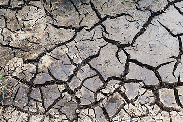 Image showing dry cracked ground surface