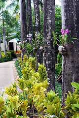 Image showing Garden path