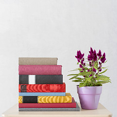 Image showing stack of books and flowers in the pot on the table