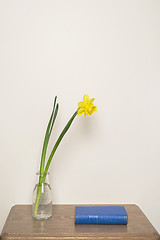 Image showing Yellow narcissus in vase and blue book