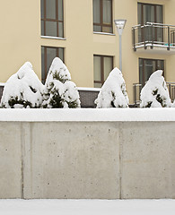 Image showing snow covered cement wall, bushes and ground