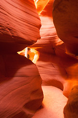 Image showing Sunlight Beams Sandstone Rock Walls Antelope Slot Canyon Arizona