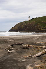 Image showing Pacific Ocean West Coast Beach Driftwood North Head Lighthouse 