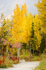 Image showing Red Porch Yellow Leaves Autumn Fall Season Alaska