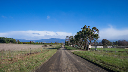 Image showing Rural road in Tasmania