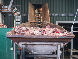 Image showing Abattoir byproducts for processing.