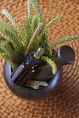 Image showing pine tree massage oil