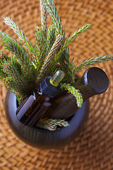 Image showing pine tree massage oil