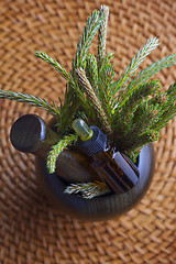 Image showing pine tree massage oil