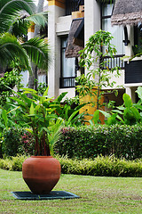 Image showing Tropical garden