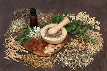 Image showing Natural Herbs for Anxiety Disorders