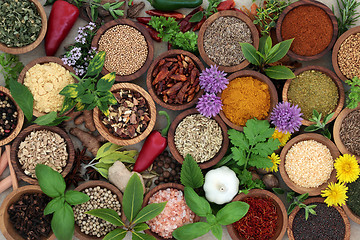 Image showing Herb and Spice Sampler