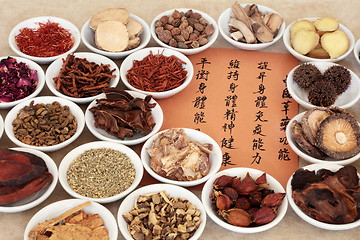 Image showing Traditional Chinese Herbal Medicine