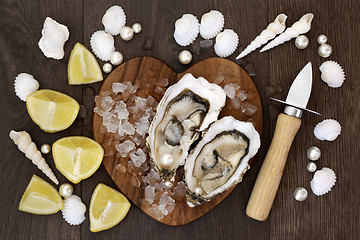 Image showing Fresh Oysters on Ice