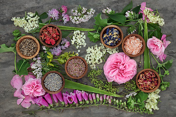 Image showing Healing Herbs and Flowers 