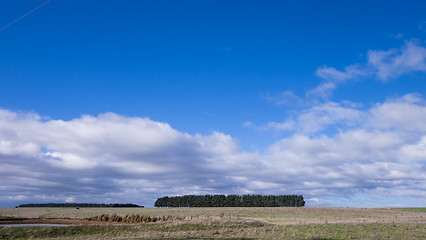 Image showing Meadows in Tasmania, Australia