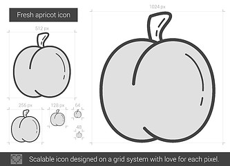 Image showing Fresh apricot line icon.