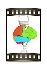 Image showing Brain and dna. 3d illustration. The film strip