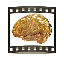 Image showing Gold brain. 3d render