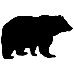 Image showing Silhouette brown bear on a white background