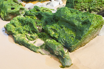 Image showing Green stones on the seashore