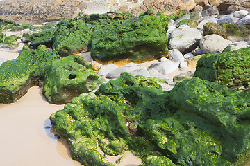 Image showing Green stones on the seashore