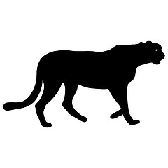 Image showing Silhouette beautiful jaguar on a white background