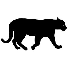 Image showing Silhouette beautiful panther on a white background