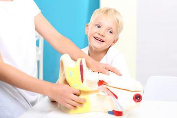 Image showing Students anatomy lesson. Children watch a model of the human ear.