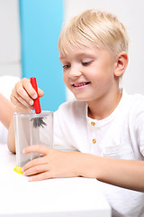 Image showing School. Magnetism, attraction. The child sees the phenomenon of magnetic field on the lessons of physics.