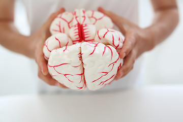 Image showing Exercise your brain. A child holds in his hands a model of the human brain.