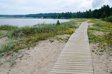 Image showing Wooden path along the sandy shore of the Baltic Sea