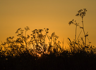 Image showing Sunrise Silhouettes 