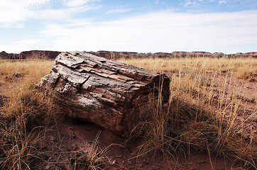 Image showing Petrified-Forest-National-Park, Arizona, USA