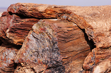 Image showing Petrified-Forest-National-Park, Arizona, USA