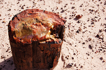 Image showing Petrified-Forest-National-Park, Arizona, USA