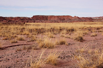 Image showing Petrified-Forest-National-Park, Arizona, USA