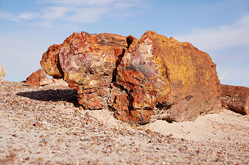 Image showing Petrified-Forest-National-Park, Arizona, USA